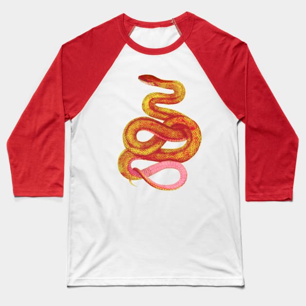 serpent,cobra,reptile,viper,venom,lizard,rattlesnake,king cobra,dragon,hydra,poison,venomous,plumber's snake,pythonidae,pythons,auger,python,squamata,serpentine,worm,big,ophidian,rattlesnakes,medusa,snakebite Baseball T-Shirt by vabontchi